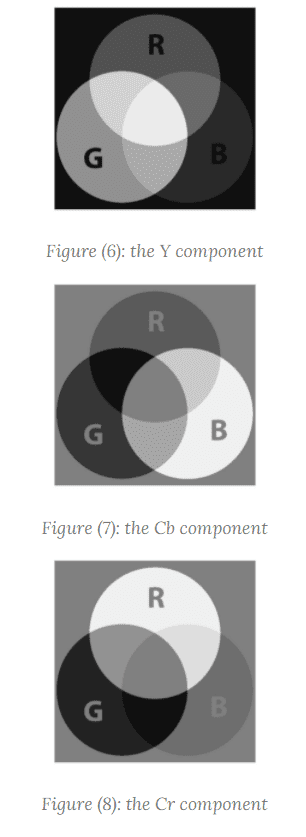 ycbcr_channels